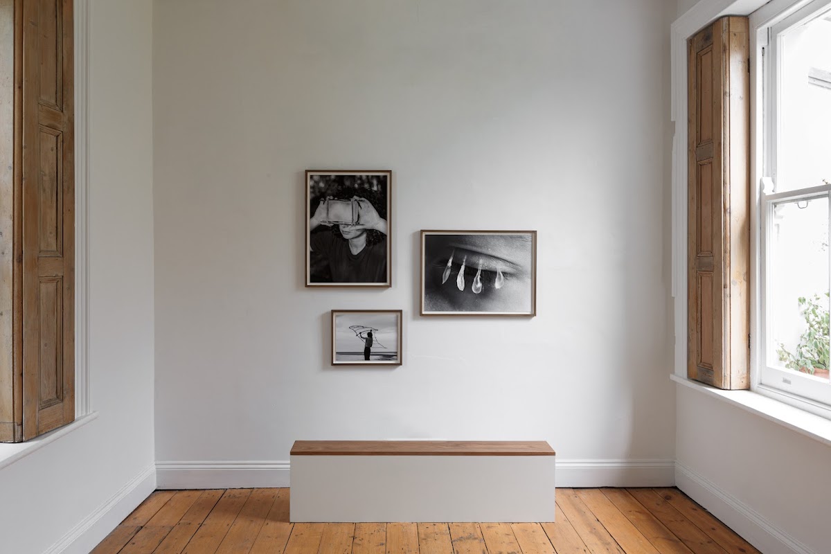 Serchia Gallery