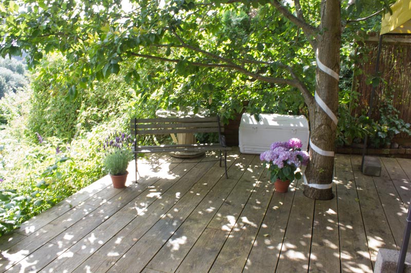 Bristol Green House Studio