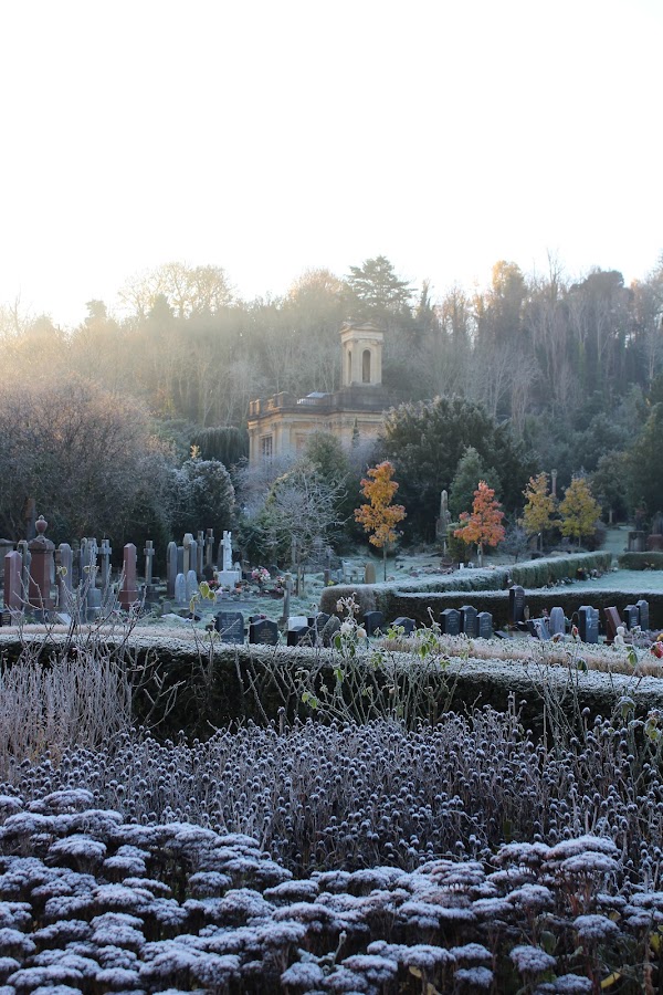 Arnos Vale Cemetery Weddings
