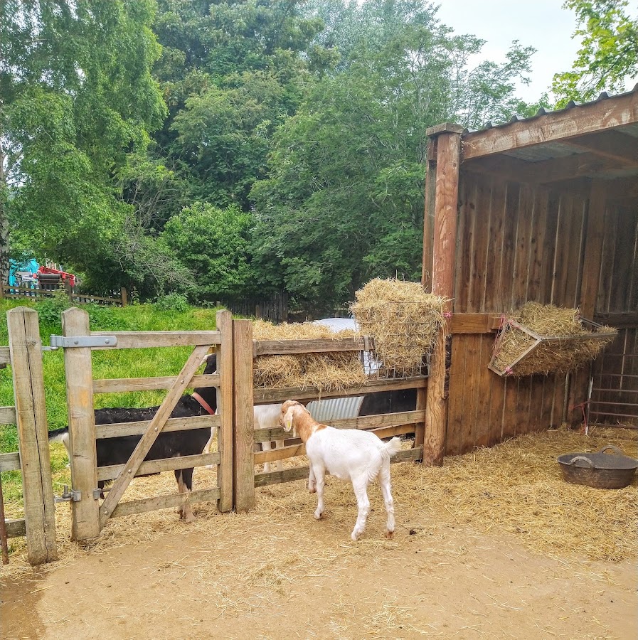 Windmill Hill City Farm